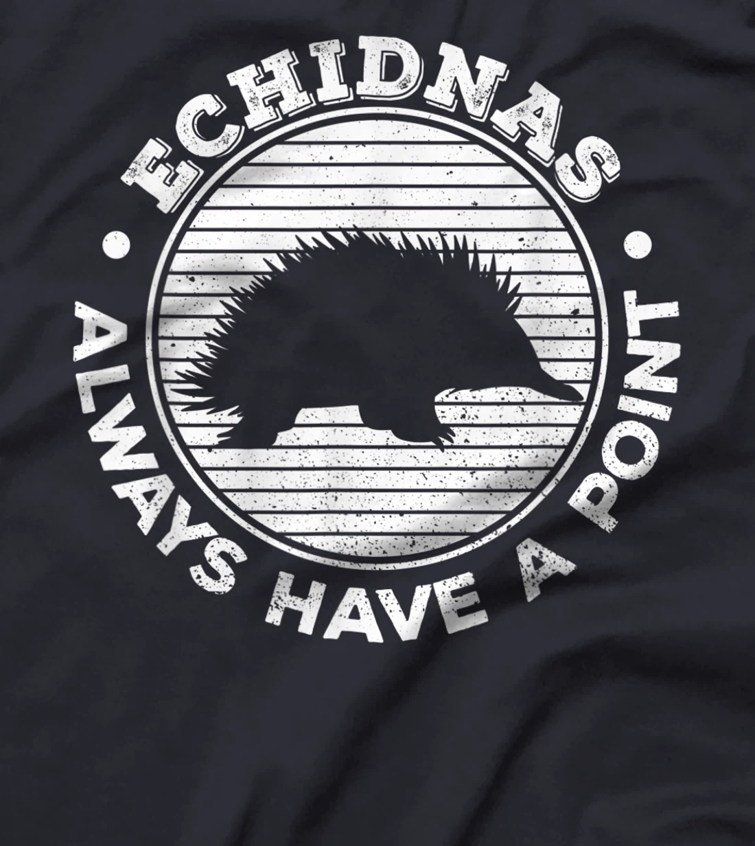 Echidnas always have a point Design for an Echidna Fan T-Shirt, Women T-Shirt