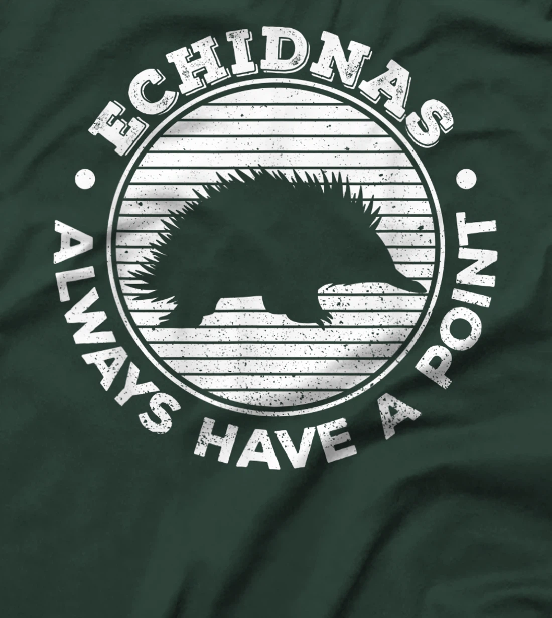 Echidnas always have a point Design for an Echidna Fan T-Shirt, Women T-Shirt