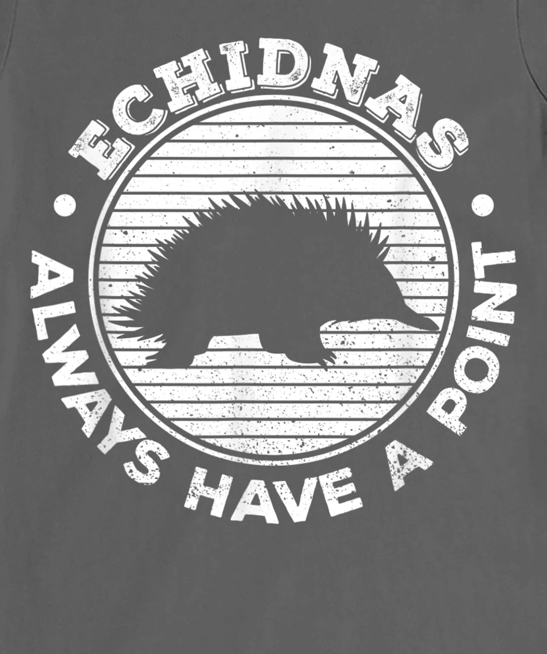 Echidnas always have a point Design for an Echidna Fan T-Shirt, Women T-Shirt