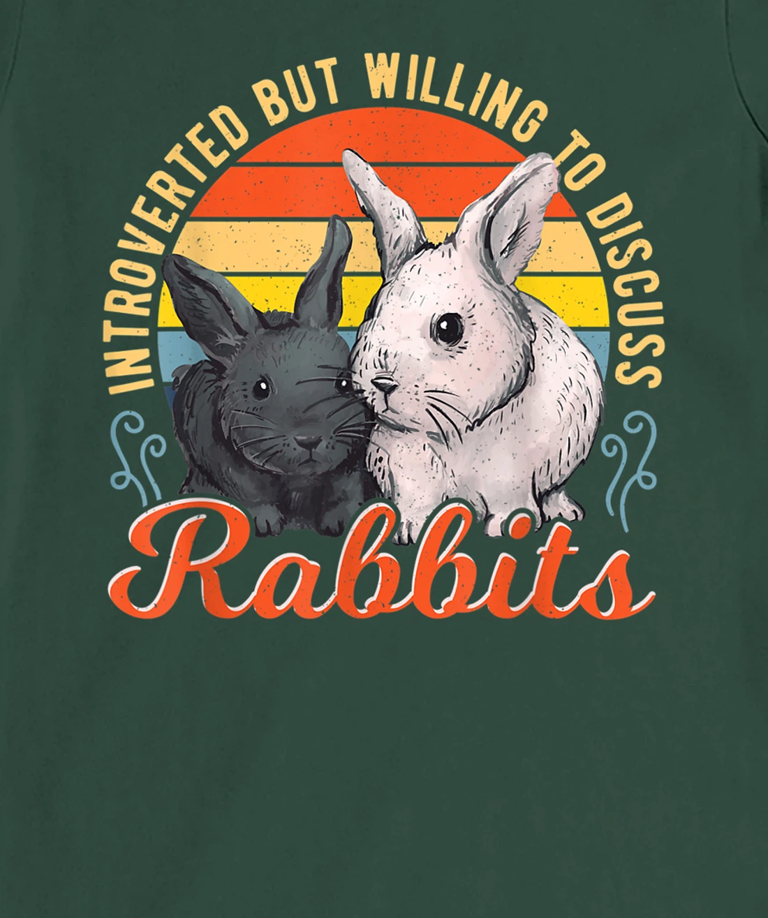 Introverted but Willing to Discuss Rabbits Bunny Pet Retro T-Shirt, Kid T-Shirt and Women T-Shirt