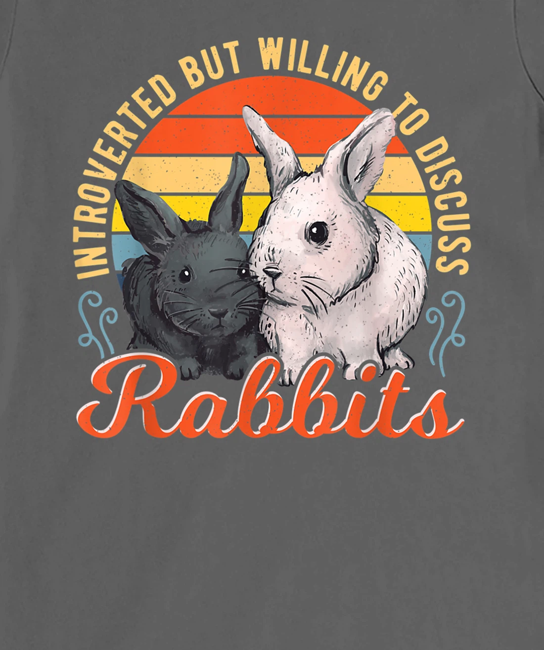 Introverted but Willing to Discuss Rabbits Bunny Pet Retro T-Shirt, Kid T-Shirt and Women T-Shirt