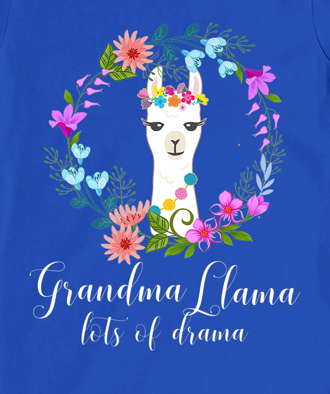 Cute Grandma Llama, Lots of Drama for Alpaca fans T-Shirt, Women T-Shirt
