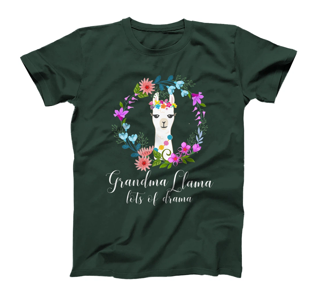 Cute Grandma Llama, Lots of Drama for Alpaca fans T-Shirt, Women T-Shirt