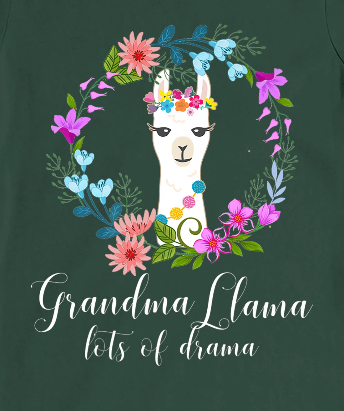 Cute Grandma Llama, Lots of Drama for Alpaca fans T-Shirt, Women T-Shirt