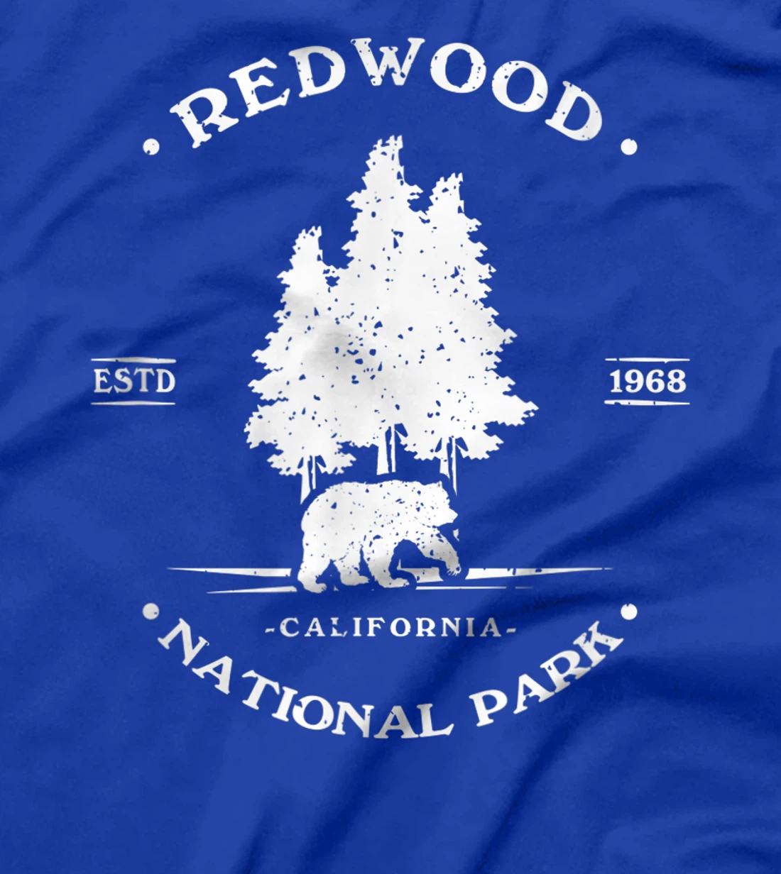 Vintage Distressed Redwood Park California Grizzly Bear T-Shirt, Kid T-Shirt and Women T-Shirt
