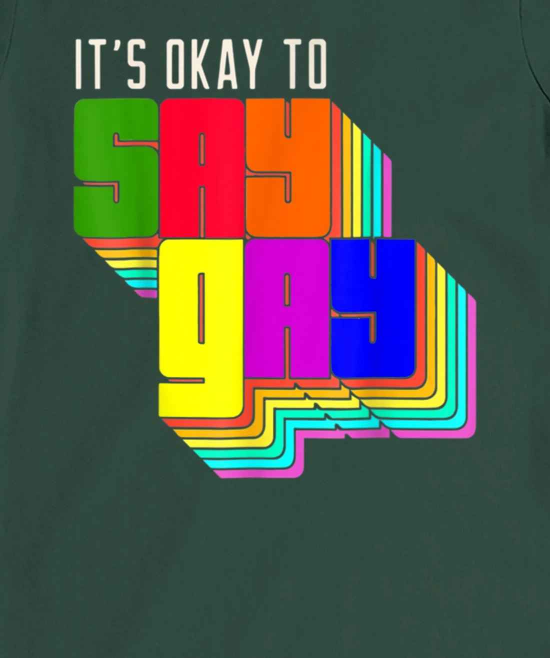 It's Okay to Say Gay LGBT Retro Vintage Funny T-Shirt, Women T-Shirt
