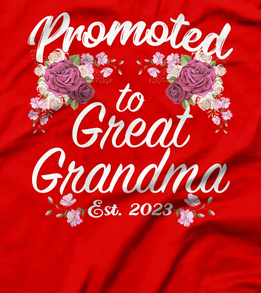 Promoted to Great Grandma 2023 - Funny Pregnancy Reveal T-Shirt, Women T-Shirt
