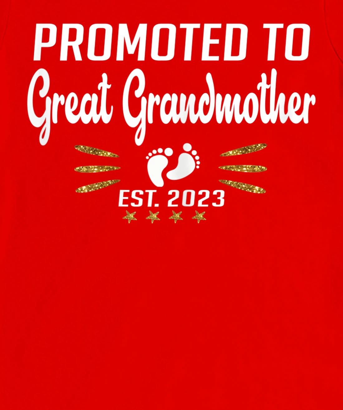 Promoted to Great Grandma 2023 - Funny Tee Pregnancy Reveal T-Shirt, Women T-Shirt