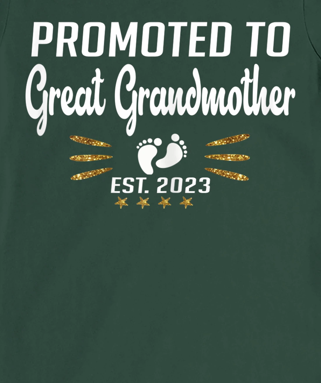 Promoted to Great Grandma 2023 - Funny Tee Pregnancy Reveal T-Shirt, Women T-Shirt