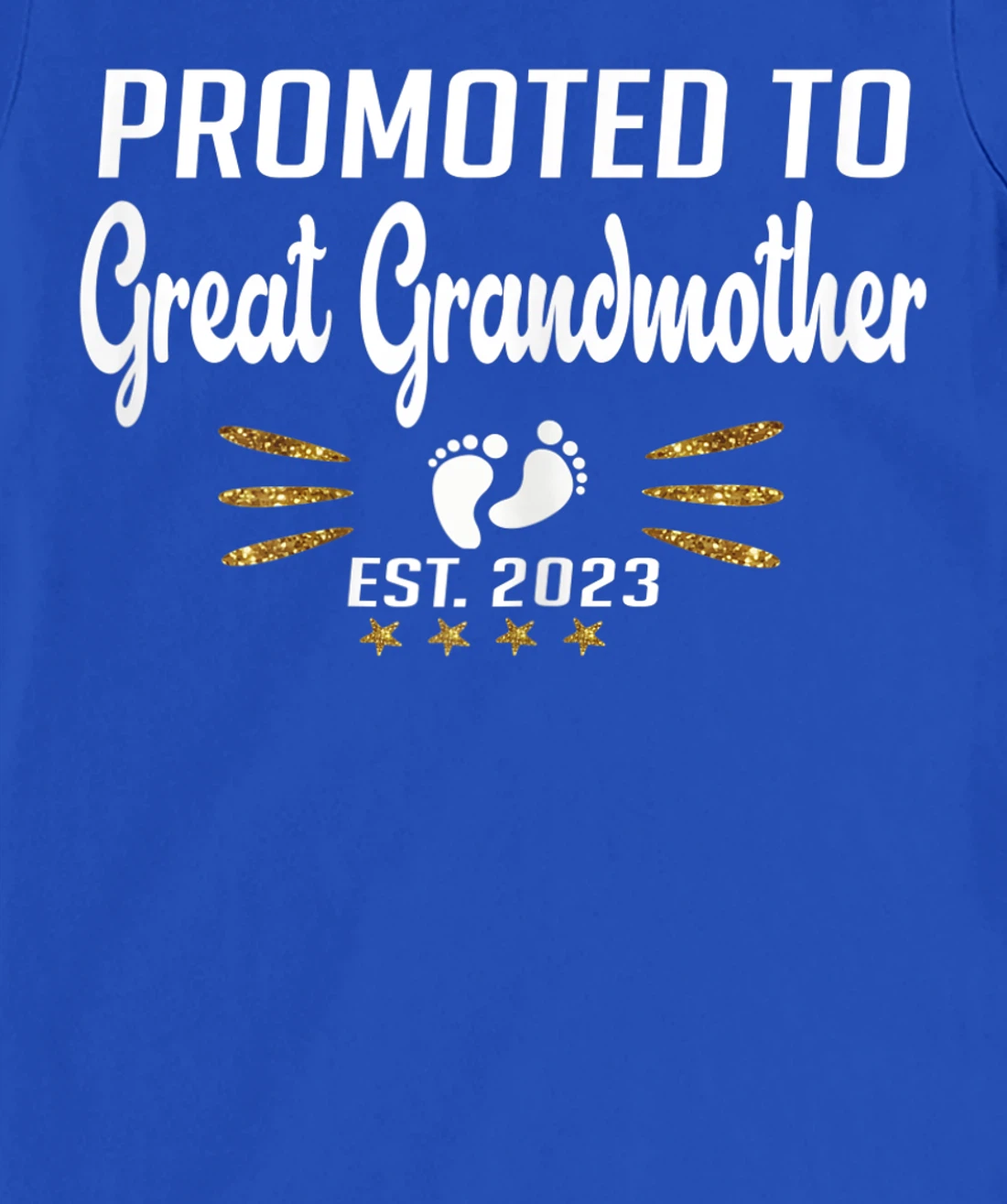 Promoted to Great Grandma 2023 - Funny Tee Pregnancy Reveal T-Shirt, Women T-Shirt