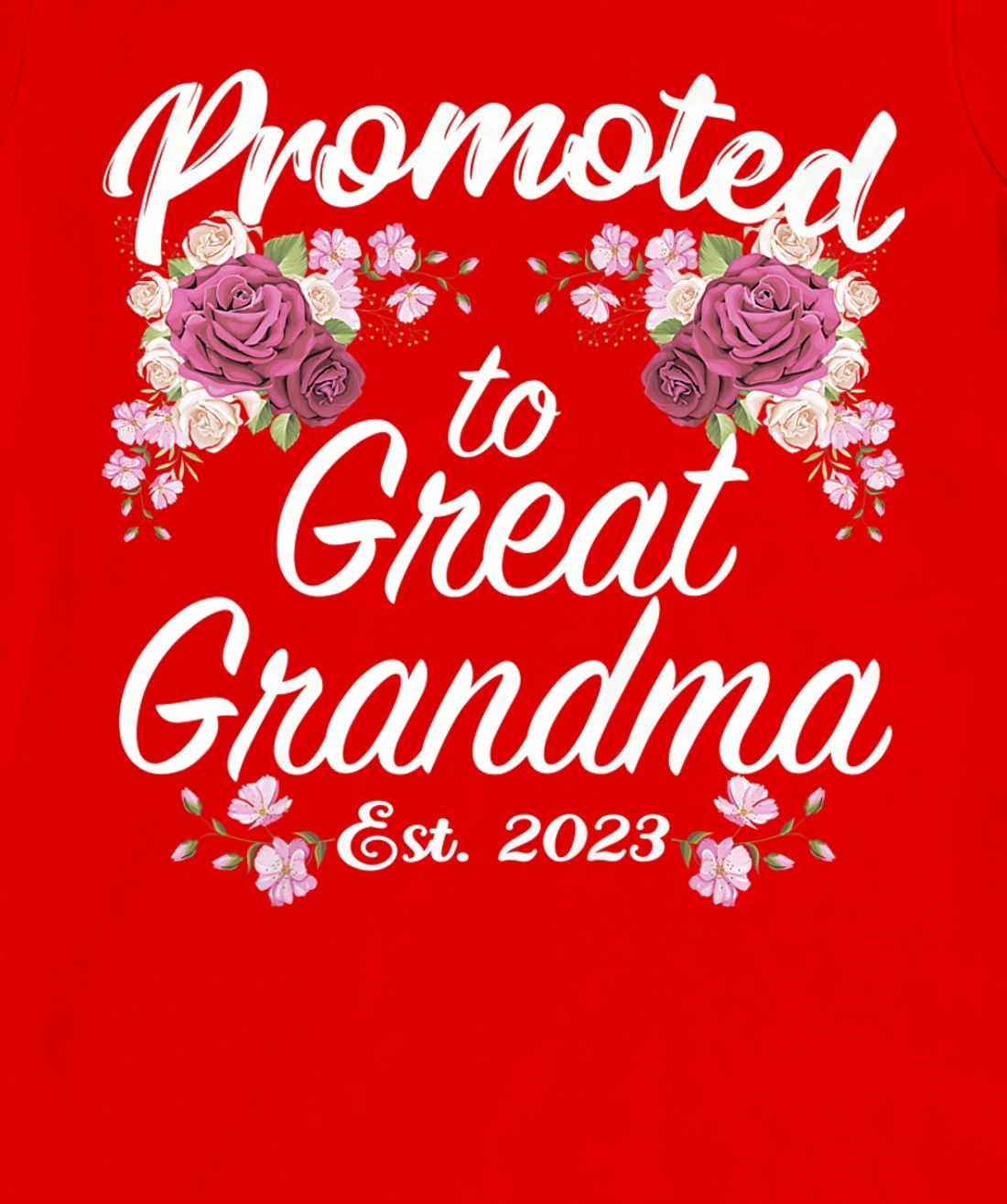 Promoted to Great Grandma 2023 - Funny Pregnancy Reveal T-Shirt, Women T-Shirt