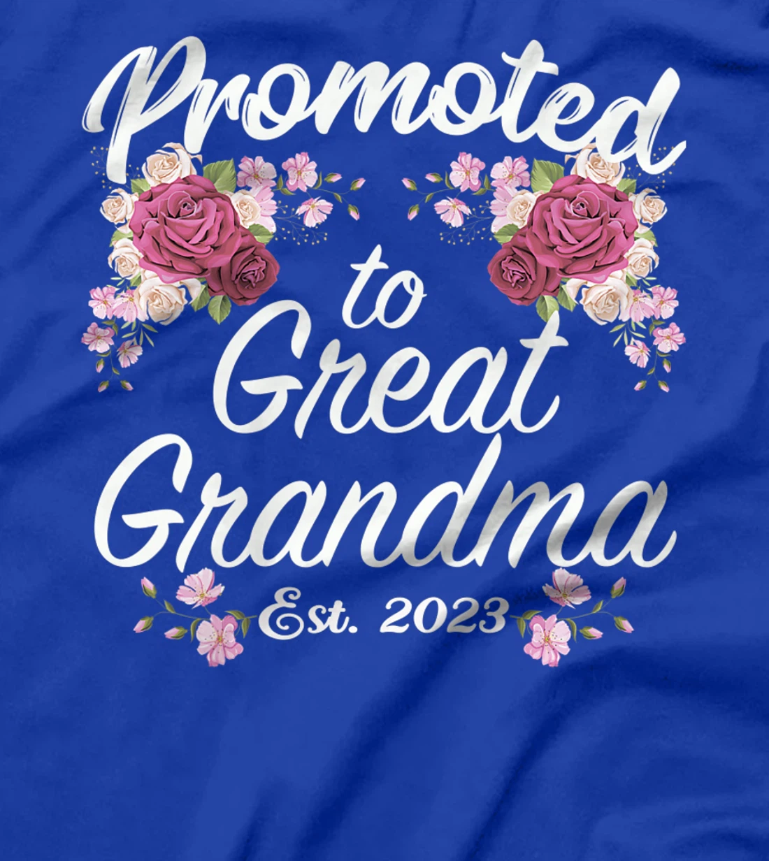 Promoted to Great Grandma 2023 - Funny Pregnancy Reveal T-Shirt, Women T-Shirt