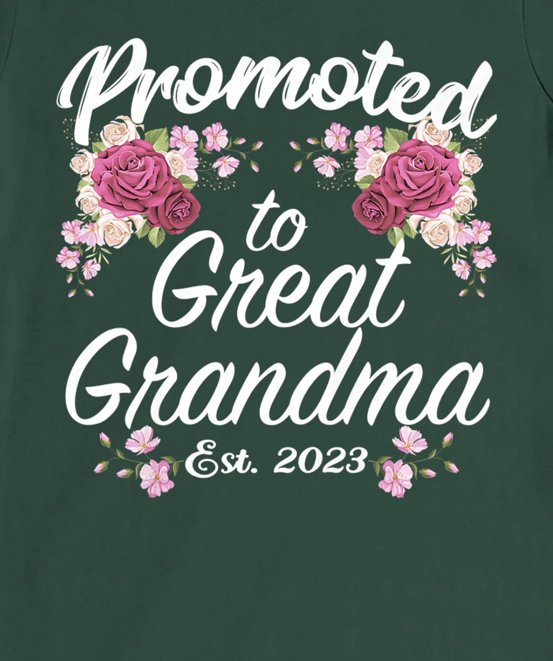 Promoted to Great Grandma 2023 - Funny Pregnancy Reveal T-Shirt, Women T-Shirt