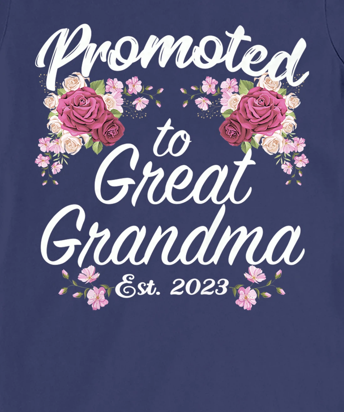 Promoted to Great Grandma 2023 - Funny Pregnancy Reveal T-Shirt, Women T-Shirt