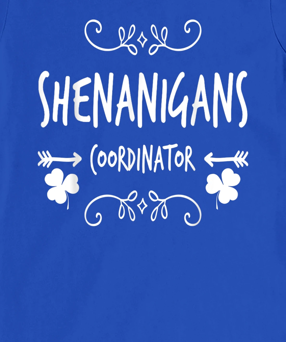 Shenanigans Coordinator Teacher Meme St Patrick's Day T-Shirt, Women T-Shirt
