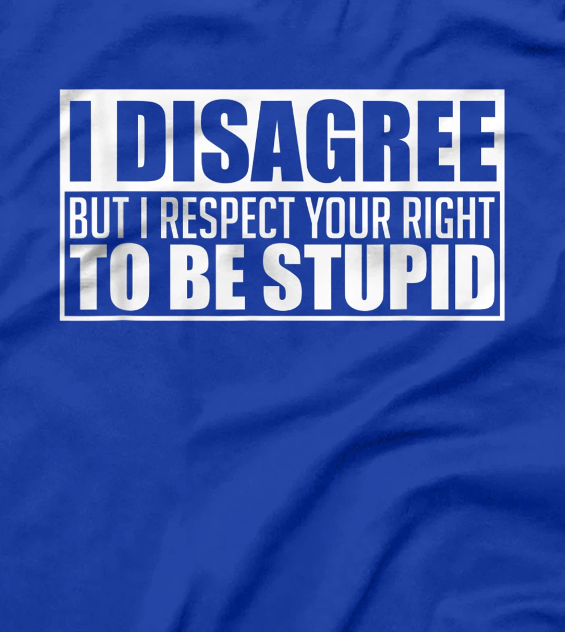I disagree Respect your right to be stupid Graphic Novelty T-Shirt, Women T-Shirt