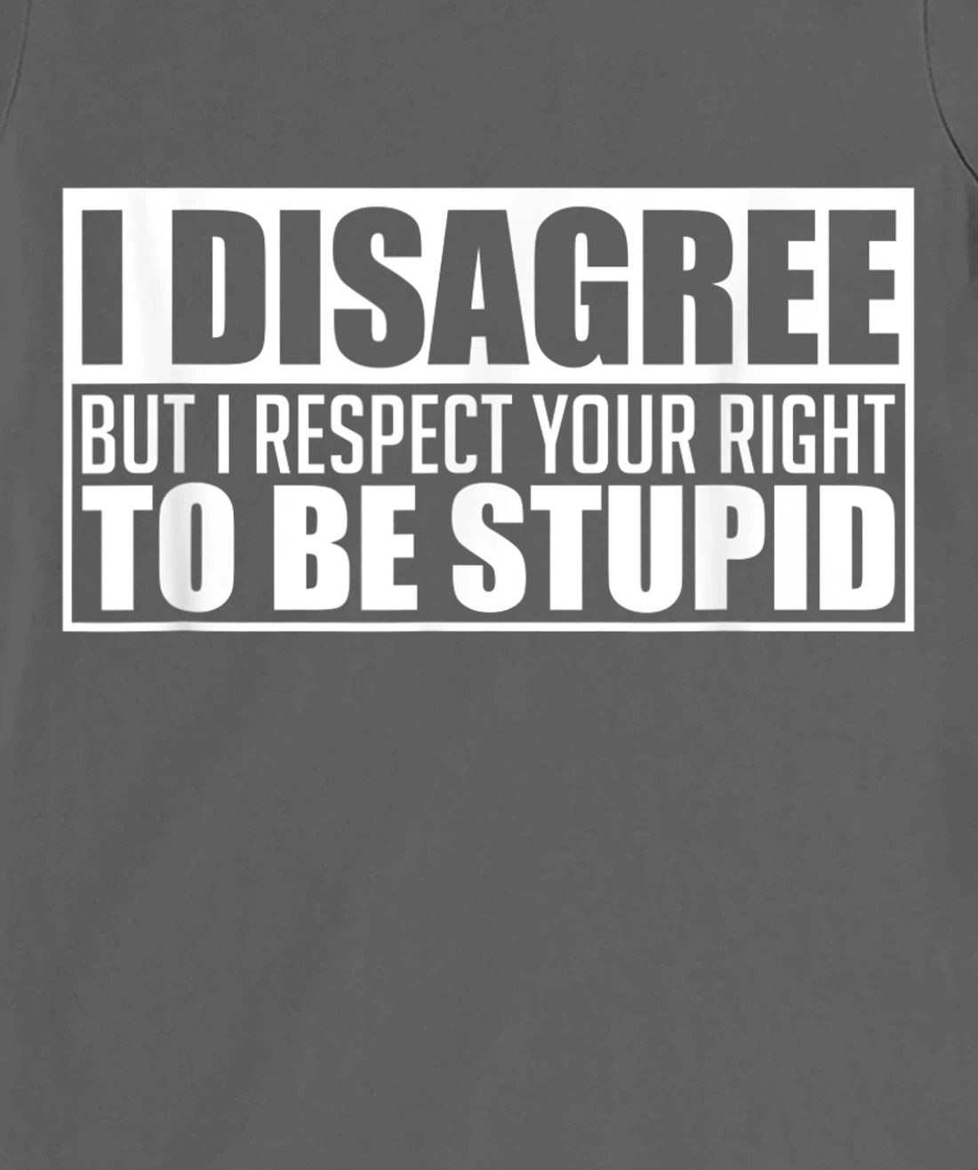 I disagree Respect your right to be stupid Graphic Novelty T-Shirt, Women T-Shirt