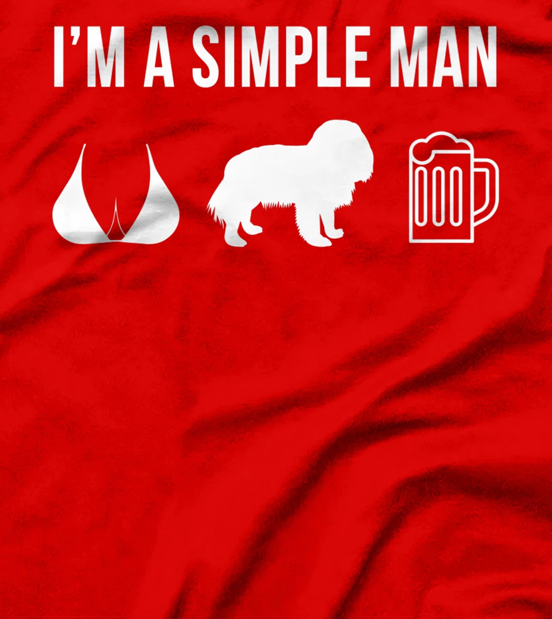 Pet Cavalier King Charles Spaniel Dog Puppy Plan For Today T-Shirt