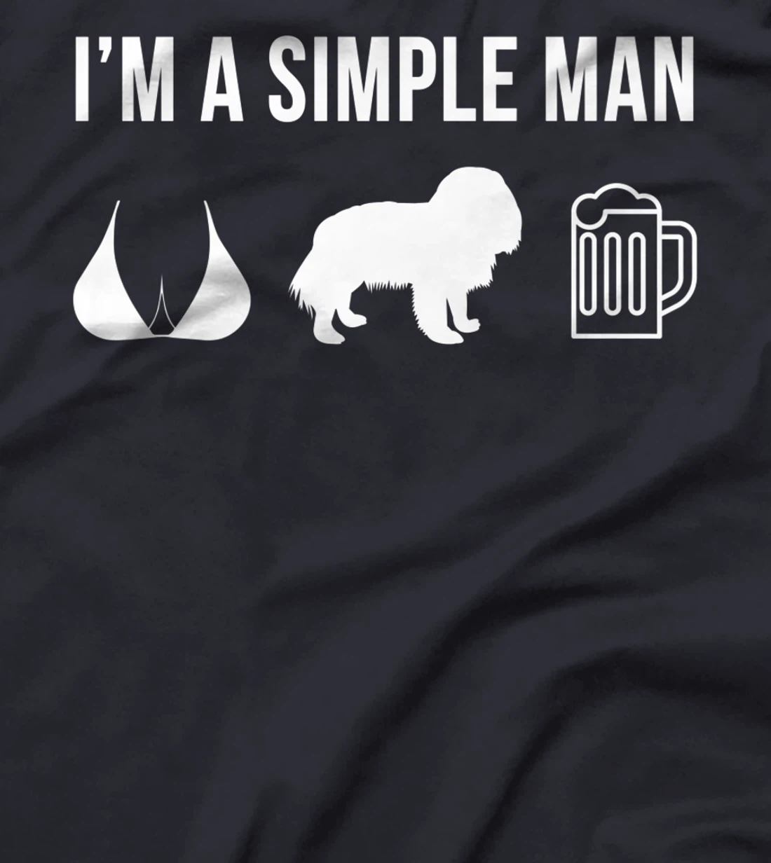 Pet Cavalier King Charles Spaniel Dog Puppy Plan For Today T-Shirt