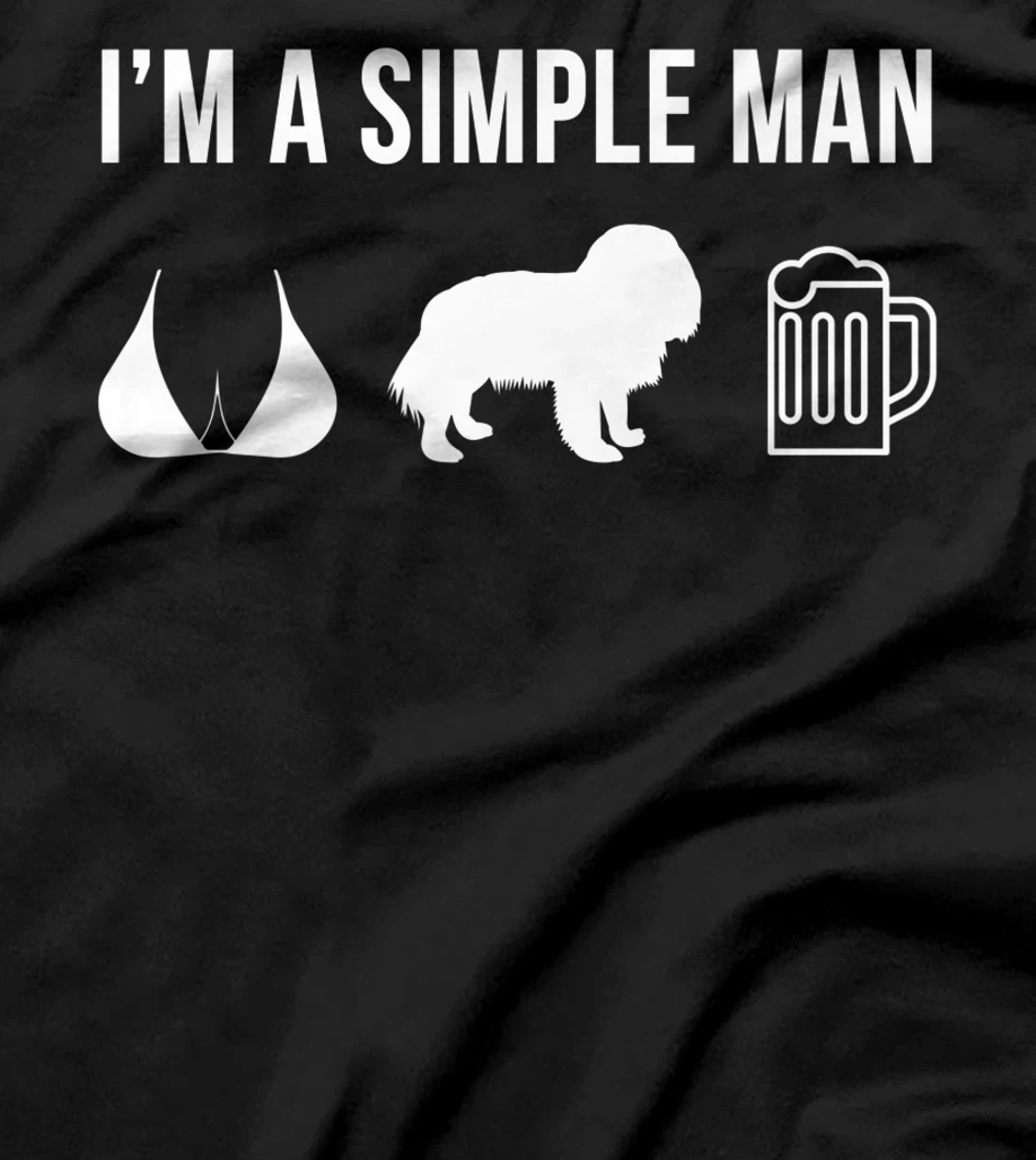 Pet Cavalier King Charles Spaniel Dog Puppy Plan For Today T-Shirt