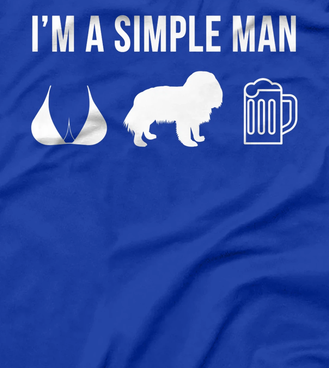 Pet Cavalier King Charles Spaniel Dog Puppy Plan For Today T-Shirt