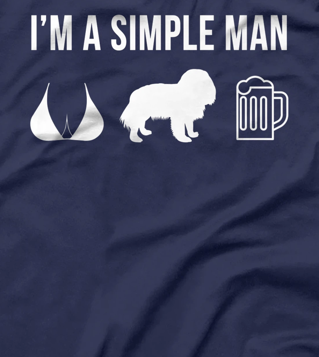 Pet Cavalier King Charles Spaniel Dog Puppy Plan For Today T-Shirt