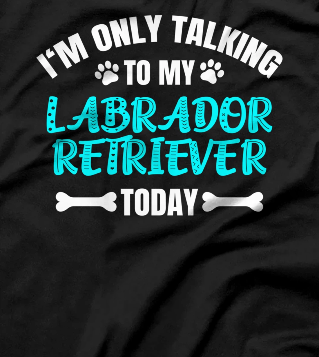 I'm Only Talking To My Labrador Retriever Today T-Shirt