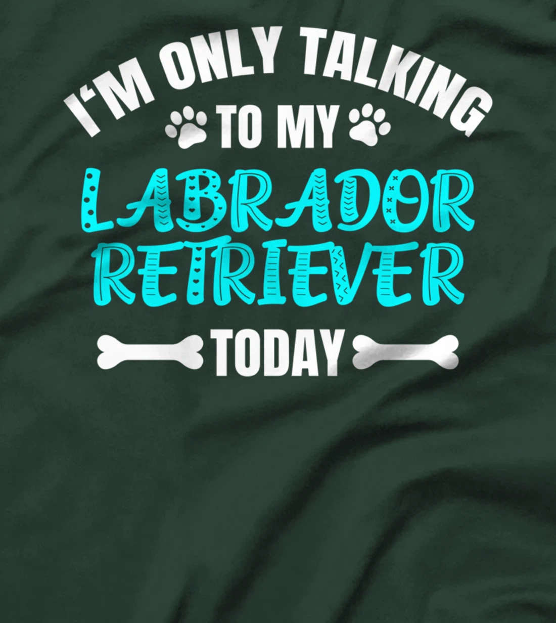 I'm Only Talking To My Labrador Retriever Today T-Shirt