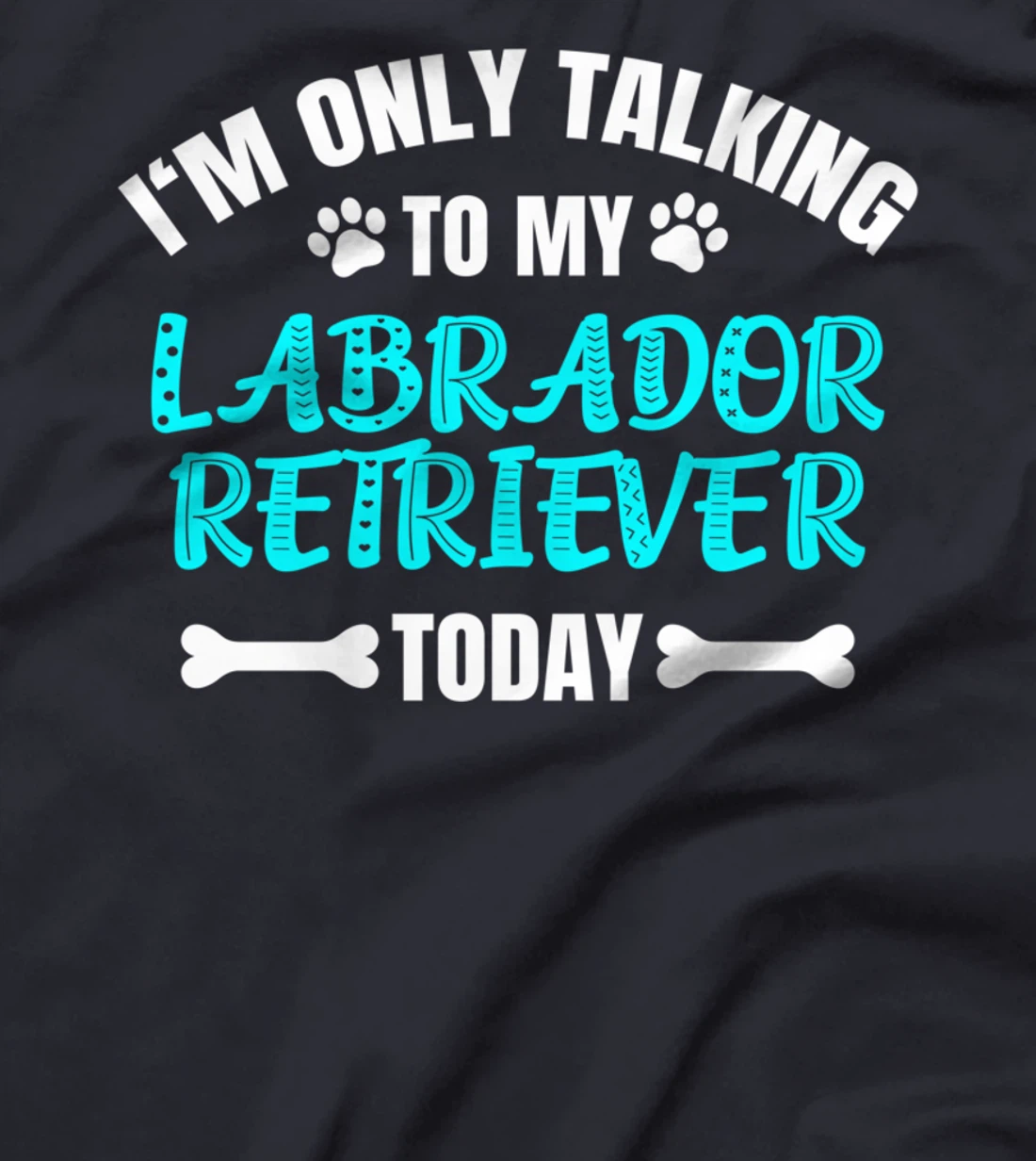 I'm Only Talking To My Labrador Retriever Today T-Shirt