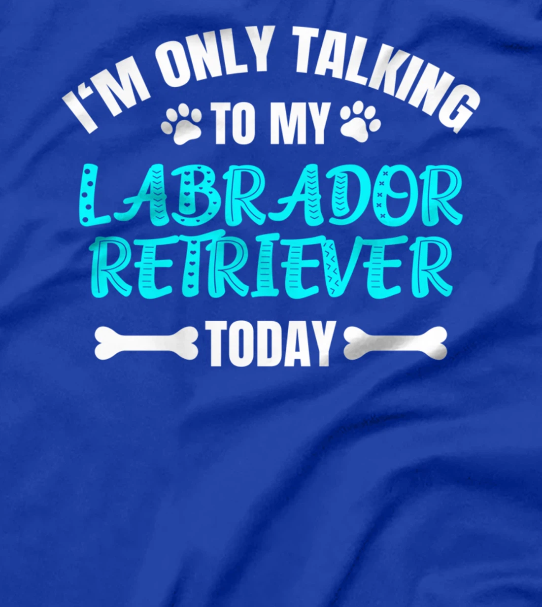 I'm Only Talking To My Labrador Retriever Today T-Shirt