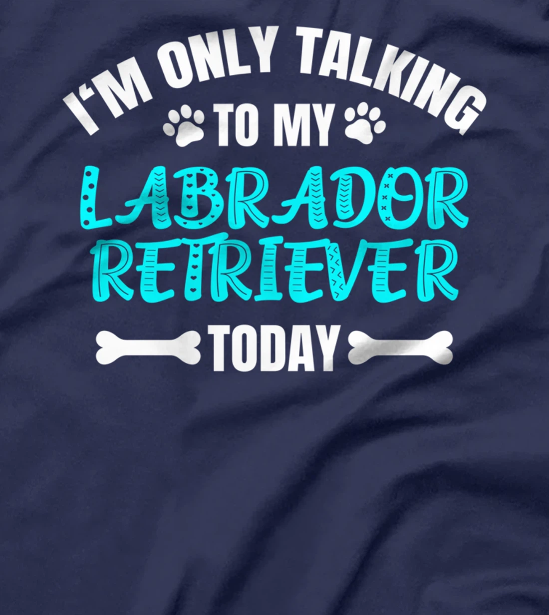 I'm Only Talking To My Labrador Retriever Today T-Shirt