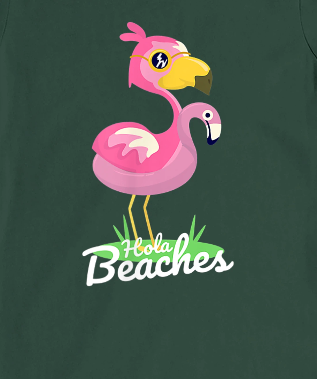 Hola Beaches Funny Summer Beach Flamingo Sunglasses T-Shirt, Kid T-Shirt and Women T-Shirt