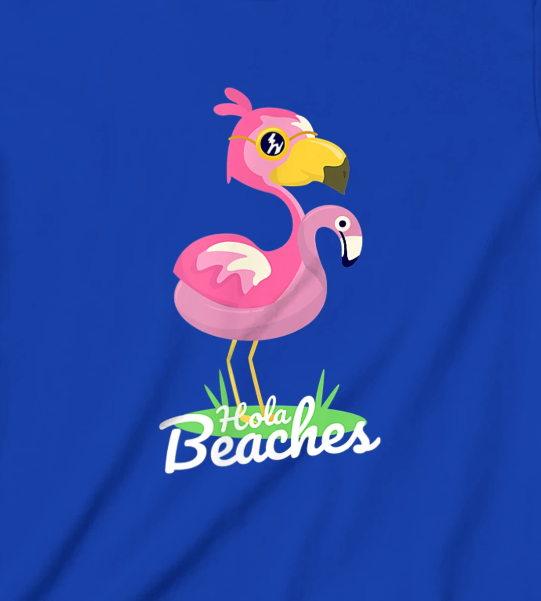 Hola Beaches Funny Summer Beach Flamingo Sunglasses T-Shirt, Kid T-Shirt and Women T-Shirt