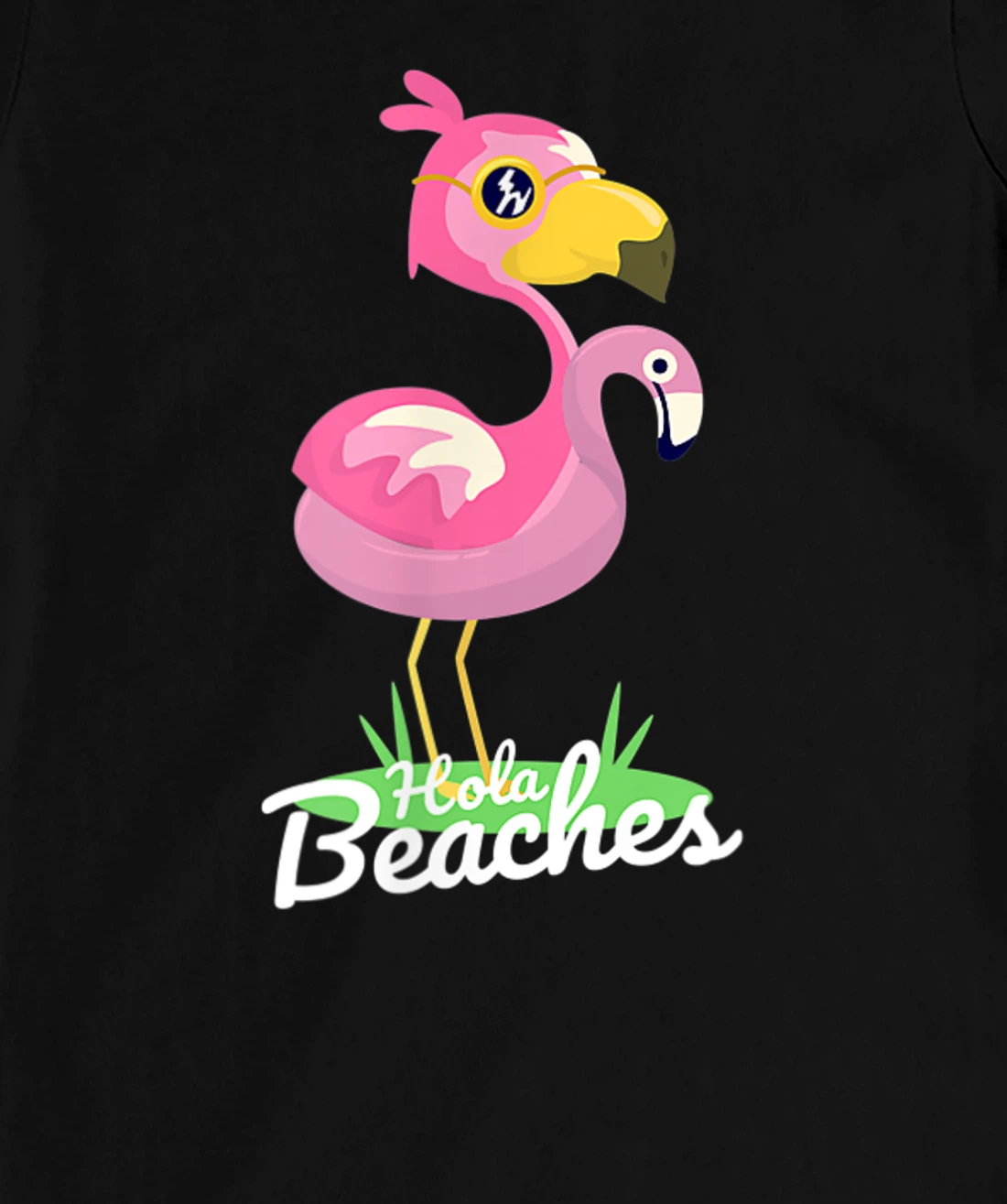 Hola Beaches Funny Summer Beach Flamingo Sunglasses T-Shirt, Kid T-Shirt and Women T-Shirt