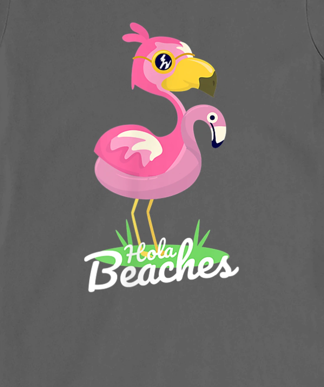 Hola Beaches Funny Summer Beach Flamingo Sunglasses T-Shirt, Kid T-Shirt and Women T-Shirt