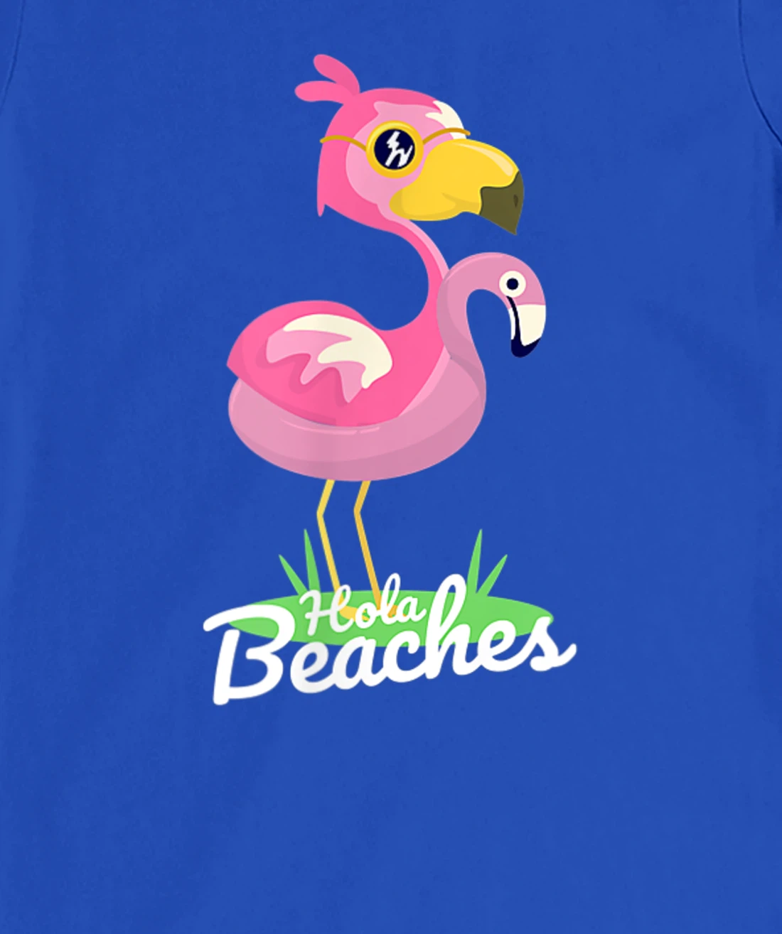 Hola Beaches Funny Summer Beach Flamingo Sunglasses T-Shirt, Kid T-Shirt and Women T-Shirt
