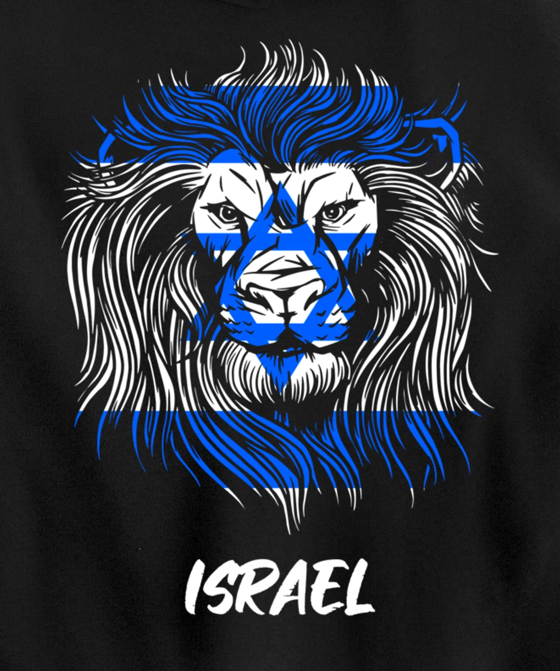 Lion of Israeli Flag of Israel Pullover Hoodie