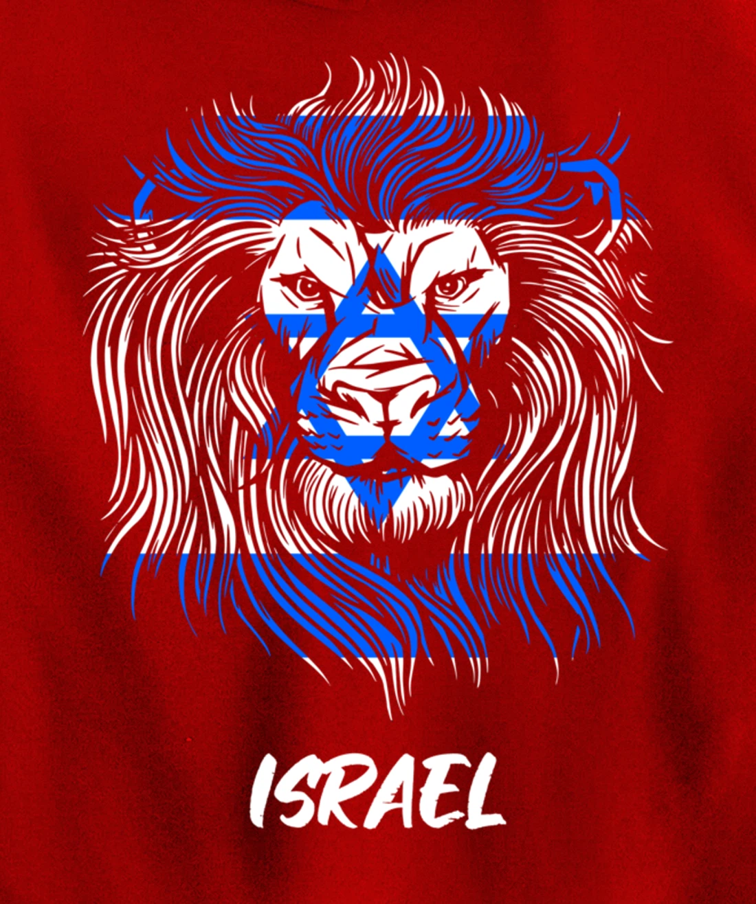 Lion of Israeli Flag of Israel Pullover Hoodie