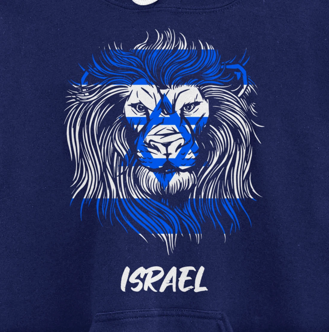 Lion of Israeli Flag of Israel Pullover Hoodie