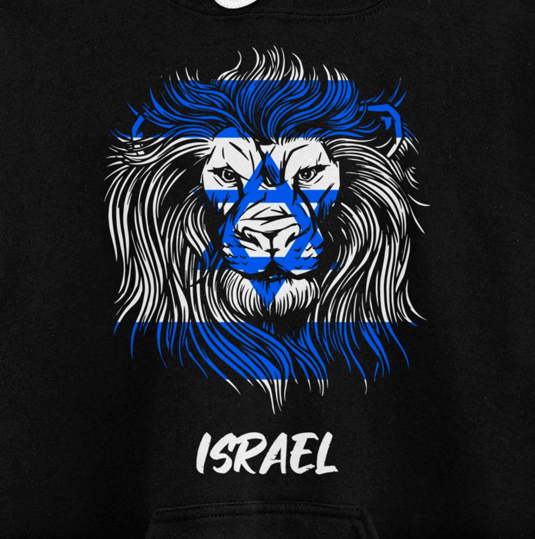 Lion of Israeli Flag of Israel Pullover Hoodie