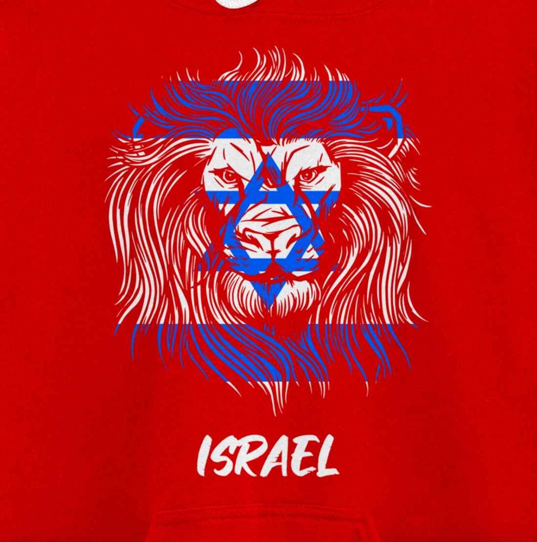 Lion of Israeli Flag of Israel Pullover Hoodie