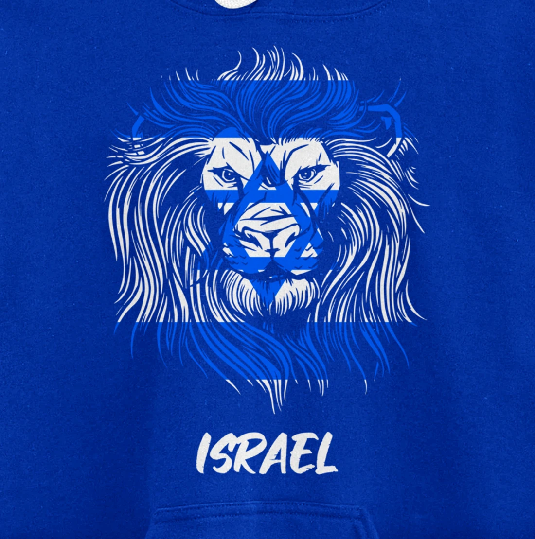 Lion of Israeli Flag of Israel Pullover Hoodie