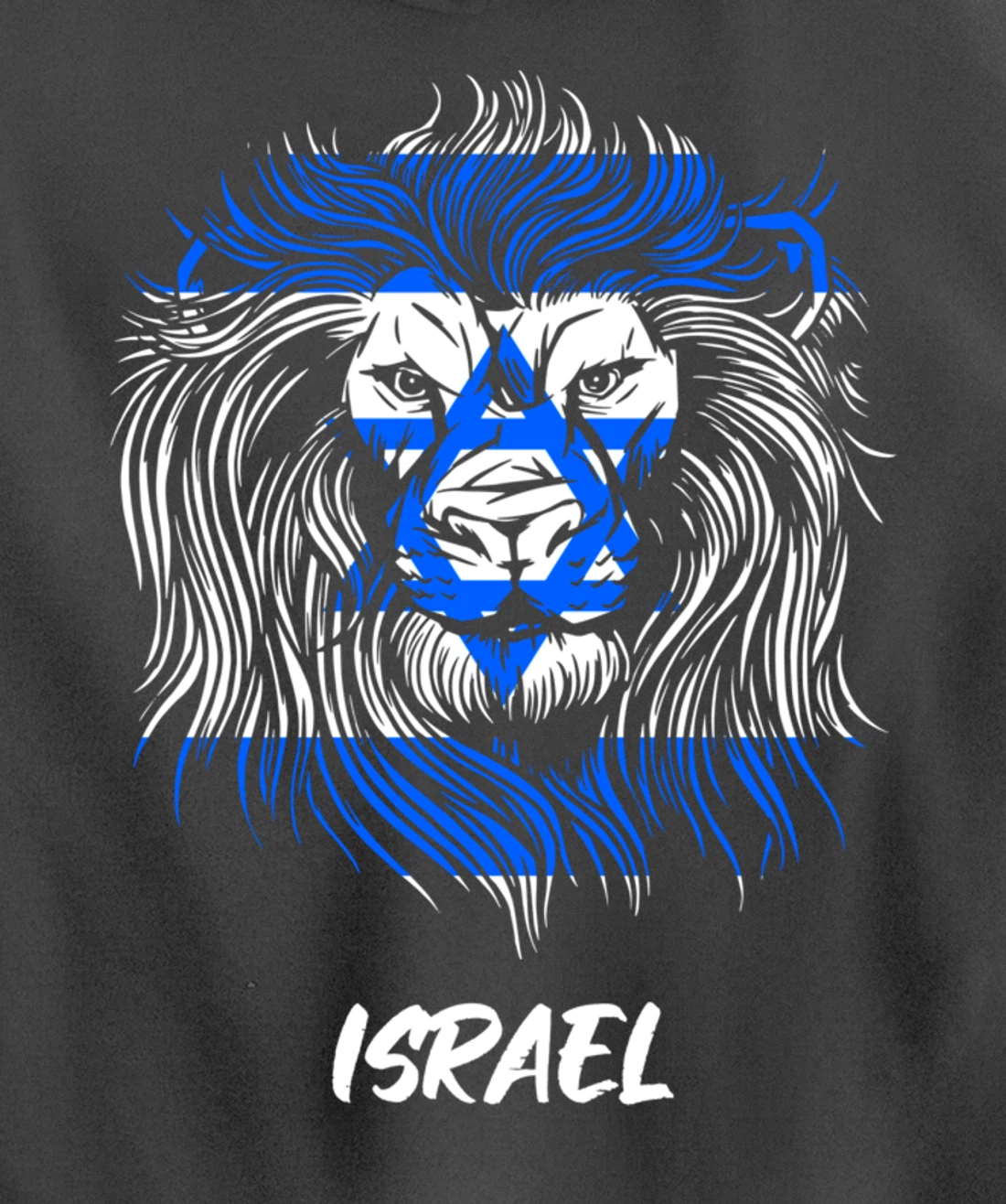 Lion of Israeli Flag of Israel Pullover Hoodie