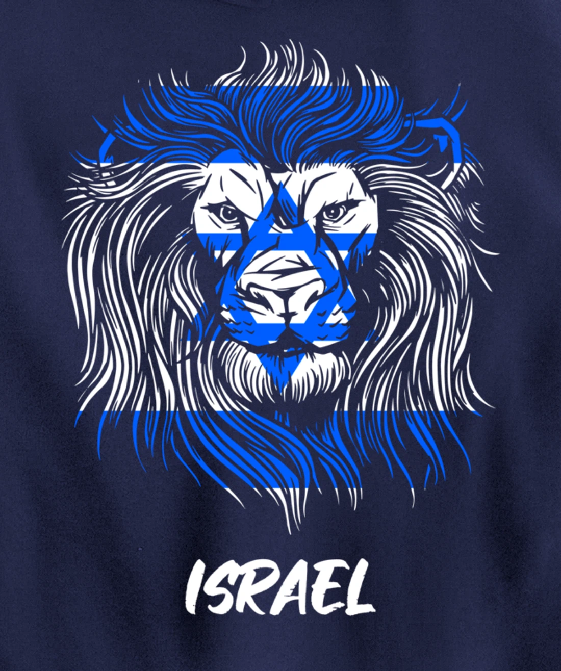 Lion of Israeli Flag of Israel Pullover Hoodie