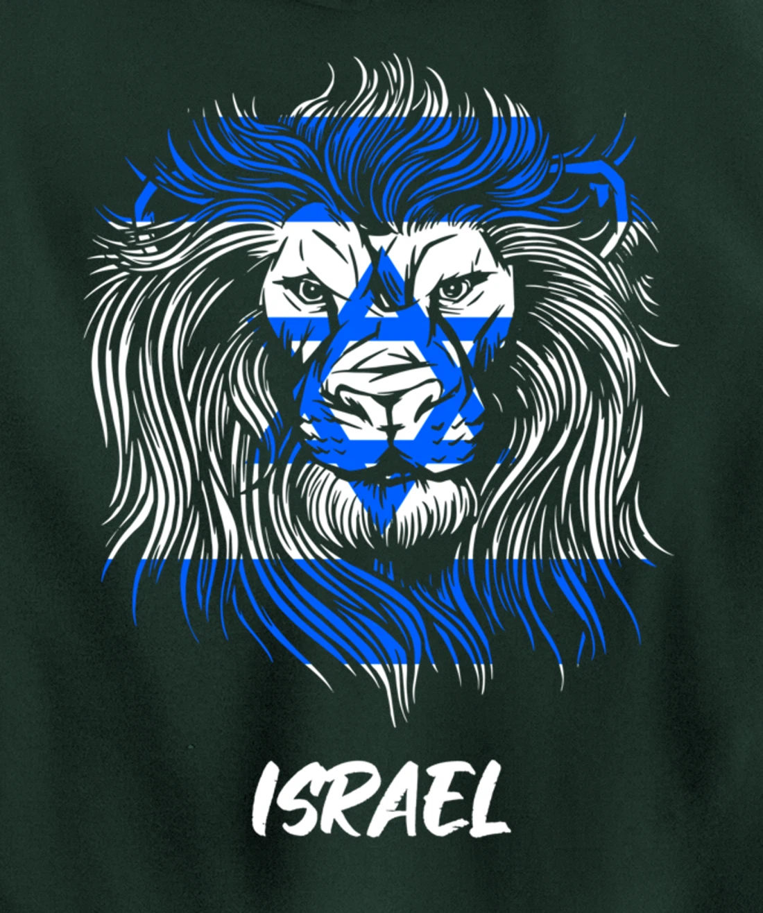 Lion of Israeli Flag of Israel Pullover Hoodie