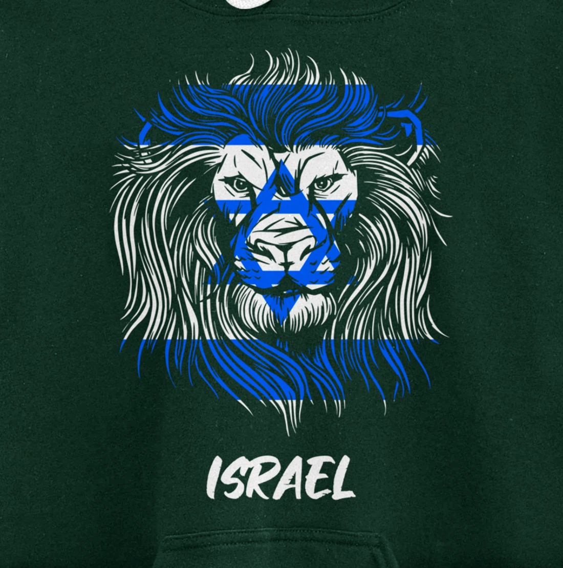 Lion of Israeli Flag of Israel Pullover Hoodie