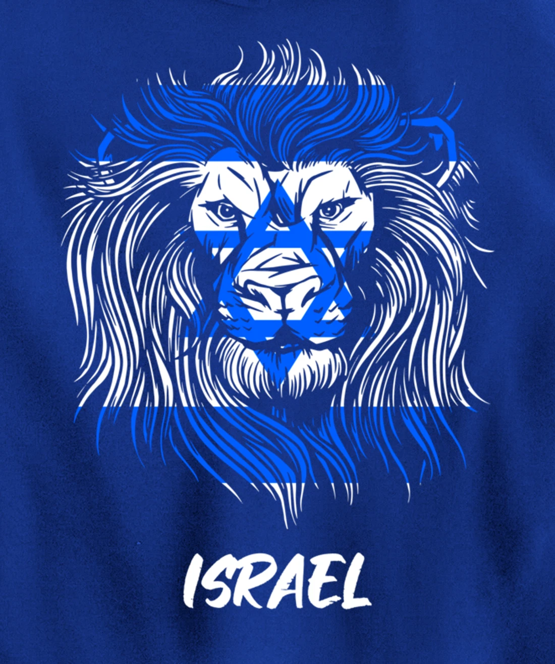 Lion of Israeli Flag of Israel Pullover Hoodie
