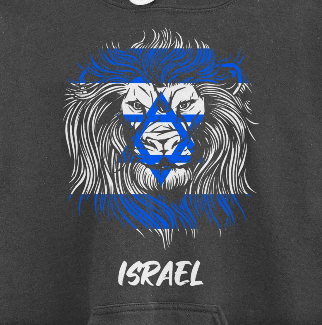 Lion of Israeli Flag of Israel Pullover Hoodie