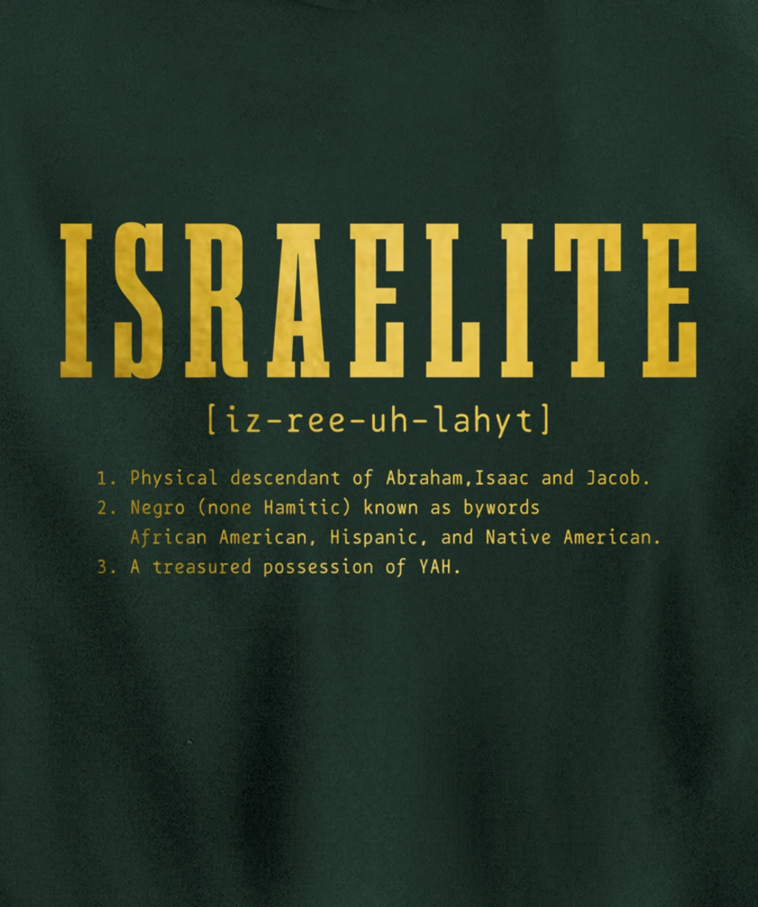 Israelite Definition Hebrew Judah Israel Pullover Hoodie