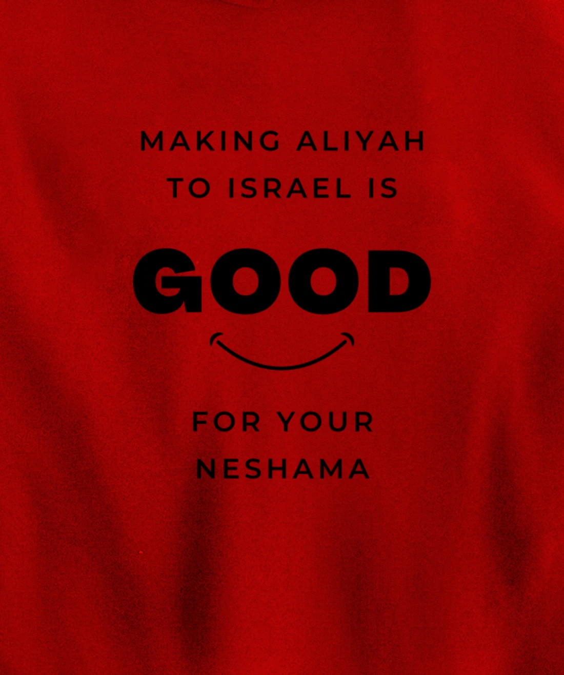 Aliyah to Israel is Good for You Pullover Hoodie